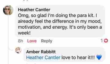 Client testimonial shared with The Detox Warrior 25