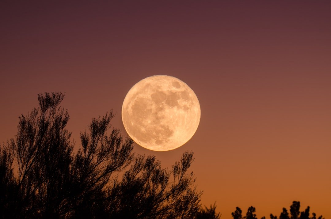 Learn how to do Full moon protocols